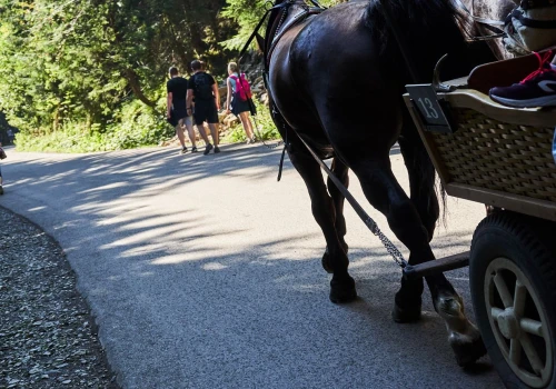 Wypadek podczas pielgrzymki. Koń ciągnął księdza uwięzionego pod bryczką