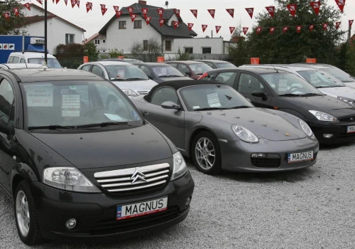 Sąsiad zobaczył nowe auto i zgłosił sprawę. Co urząd skarbowy może zrobić?