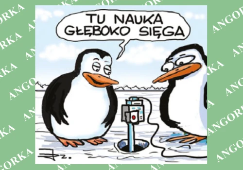 Sejsmometry pod 2,4 kilometra lodu. Naukowcy zdążyli przed zamarznięciem otworu