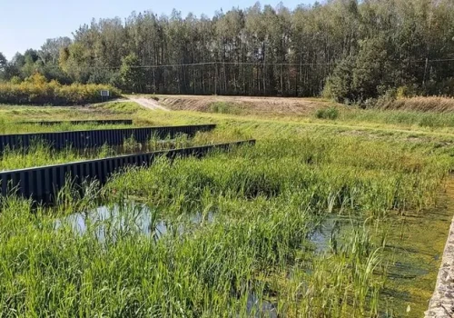 Ekohydrologia bez granic – jak UNESCO buduje międzyrządową współpracę wokół wody