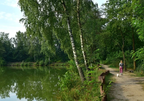 Mało kto zna ten park w Krakowie. Idealne miejsce na letni spacer