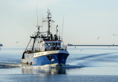 Przełowienie jednym z największych zagrożeń dla oceanów