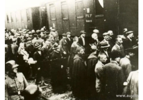 Kilkunastu byłych więźniów na rocznicy I transportu Polaków do Auschwitz