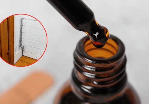 Masz w łazience czarny nalot? Apteczny płyn za kilkanaście złotych zmyje go bez śladu