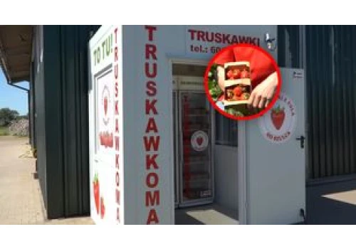 Szał na truskawki z automatu. 