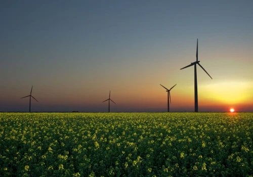 Wiatr wieje mocniej, ale sieć nie nadąża. 107 GW czeka na przyłącze