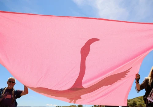 Ogromny protest w Europie. Zięć Trumpa wznosi kurort. To zagraża zwierzętom