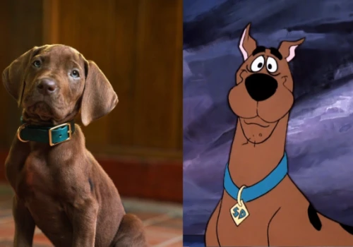 Tak wygląda nowy Scooby-Doo! Pierwszy teaser aktorskiego serialu zaskoczył fanów