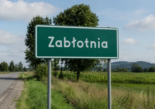 Burza wokół gruntów pod CPK nie cichnie. Słynna działka znowu do wzięcia