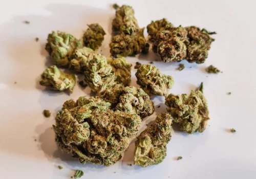 Kush Mints – hybrydowa odmiana o mocy 28% od Canopy Growth