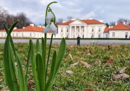 Uniwersytet w Siedlcach na 59. miejscu w Rankingu Uczelni Wyższych Work & Science Forum 2026