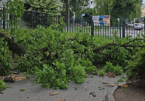 Spadł konar. Setki ludzi tędy przechodzą