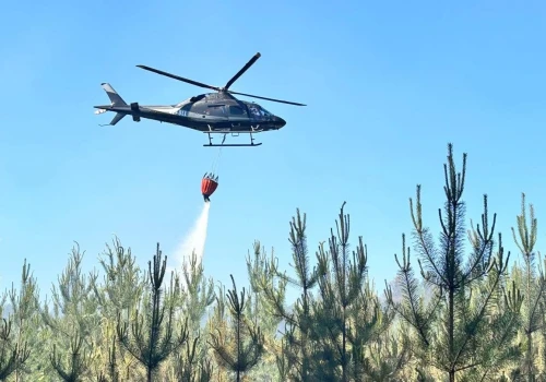 Pilot zauważył dym. Kolejny pożar lasu, do działań skierowano śmigłowiec gaśniczy
