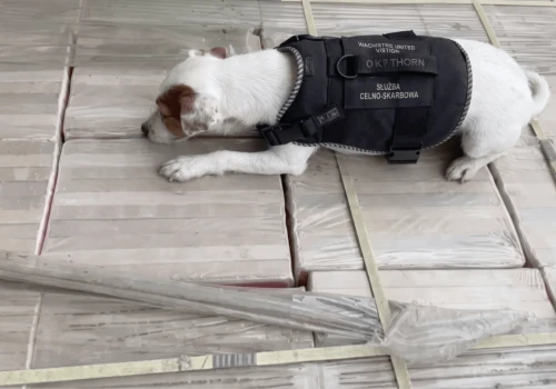 Terrier zablokował przemyt ponad tony czystej heroiny do Rzeszowa! Jej wartość to nawet 220 mln zł