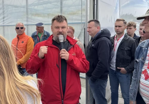 Sadzonki malin i jeżyn typu long cane. Jakie dają zalety?