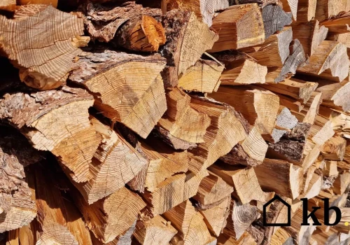 W nadleśnictwie kupisz drewno nawet 5 razy taniej niż w innych miejscach. Pokazujemy, jak to zrobić krok po kroku