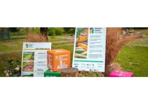Warzywa, zwierzęta i gotowanie. Miejska Farma Wrocław rusza z nowym sezonem
