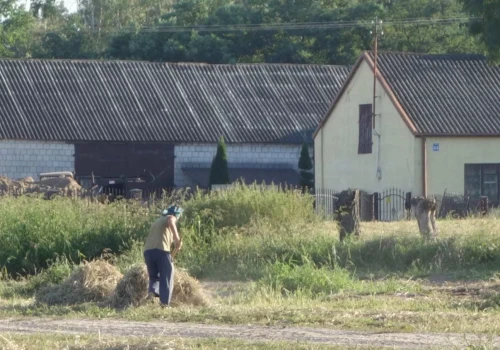 Skosił zboże, trafił do sądu. Jest nowy plan ochrony rolników