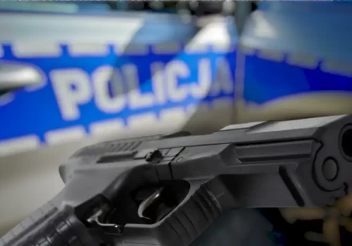 Ukradł Mini z prywatnej posesji. Policjanci przeżyli zaskoczenie, gdy odkryli, kto za tym stoi