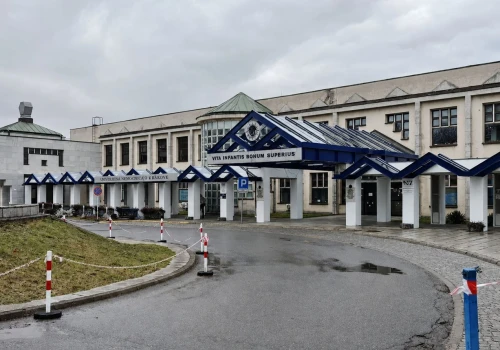 Nastolatek ukąszony przez żmiję lewantyńską. Surowica dotarła do Krakowa samolotem