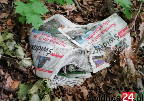 Miejska tuba propagandowa tylko raz w miesiącu, ale to wciąż 15 tysięcy sztuk. Ile z nich trafia do kosza?