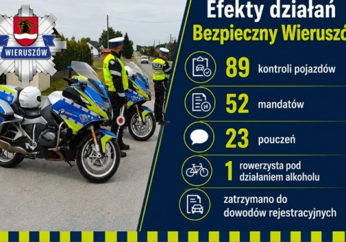Prawie 90 kontroli, ponad 50 mandatów