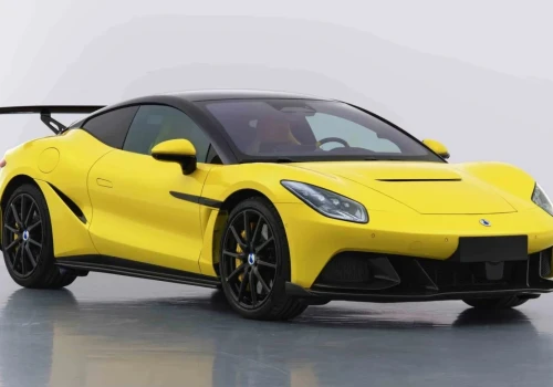 Chińskie 1600 koni coraz bliżej. Miało być Porsche, wyszedł słoń