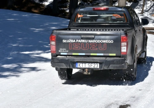 TPN wyprzedaje flotę. W ofercie Mitsubishi, Skoda , a nawet Lamborghini