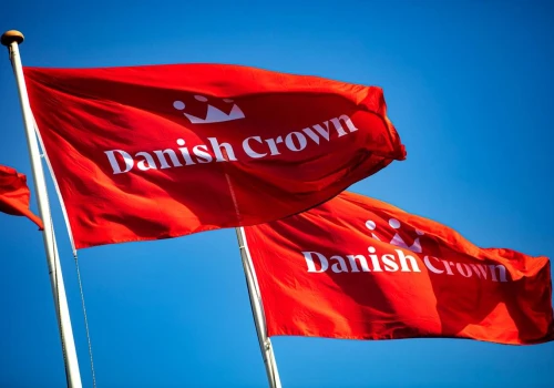Dania: Cena tuczników spada do najniższego poziomu od ponad czterech lat