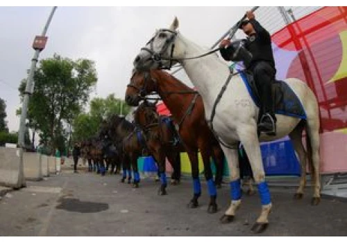 Na boisku mecz. Pod stadionem w Meksyku starcia z policją