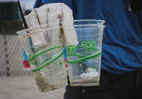 Od września wejdą surowsze kary za greenwashing. Firmy będą musiały się mieć na baczności