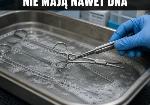 Podejrzany nie ma DNA