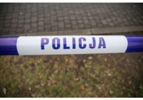Szczątki płodów zakopane na działce. Co ustalili policjanci?