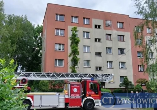 Stracili dach nad głową i ukochanego czworonoga. Trwa zbiórka po pożarze w Mysłowicach