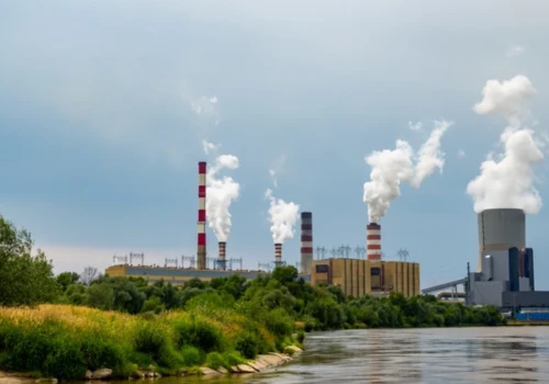 Miliony ryb giną przez elektrownię. Enea odpowiada na zarzuty