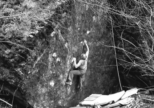 Allison Vest na topie „Ebony and Ivory” 8B+