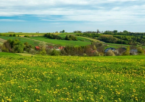 Kraszczady na Lubelszczyźnie. Malownicze tereny w okolicach Krasnegostawu