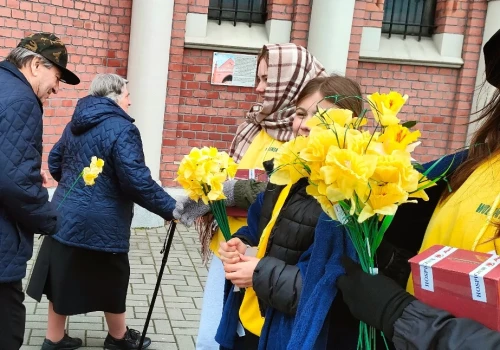 Żonkile znów zakwitną w Nysie. Zbiórka dla Hospicjum w sobotę i niedzielę