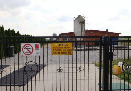 Bioasekuracja na fermach świń – nie ma jednego schematu dla wszystkich!