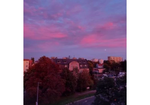 Czy Toruń może mi coś jeszcze dać? Felieton