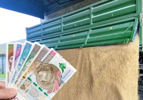 Ceny zbóż: strat nie da się odrobić. Świnie runęły, nawozy znów drożeją