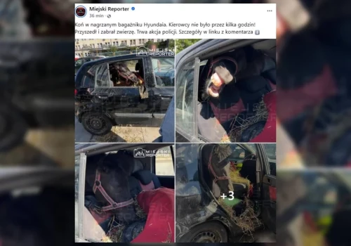 Porażający widok na ulicy w Warszawie. Musieli natychmiast reagować