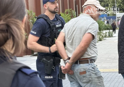 Kucyk i gołębie w aucie. Właściciel zatrzymany przez policję