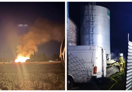 Tragiczny pożar w gminie Sokoły. Strażacy uratowali tylko trzy strusie