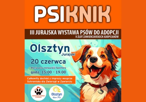 Psiknik wraca do Olsztyna. Będzie można poznać psy do adopcji i wesprzeć schronisko