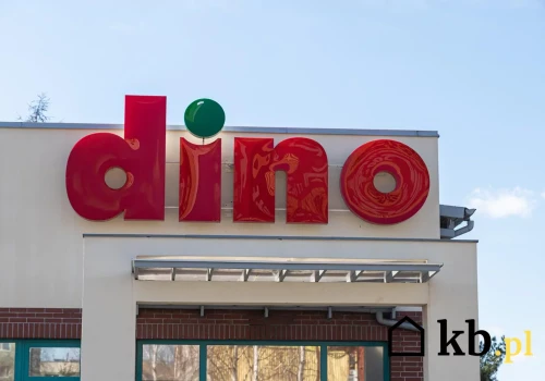 Dino ma ambitny plan. Ta zmiana ułatwi życie klientom w małych miejscowościach
