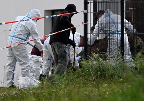 Ujawniono 32 ludzkie płody. Lekarka przed przesłuchaniem zasłabła