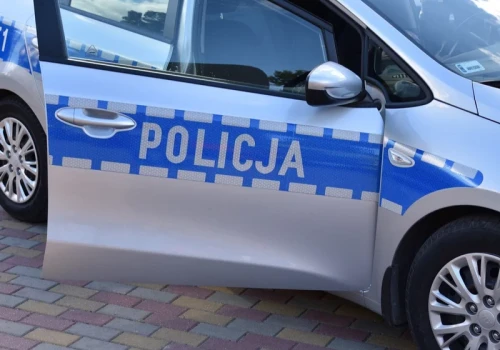 Zwłoki przy drodze. Policja zatrzymała ws. młodego mężczyznę