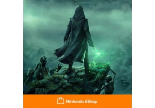 Wyprzedaż Warner Bros. Games w Nintendo eShop. Hogwarts Legacy na Switcha za 40 zł!