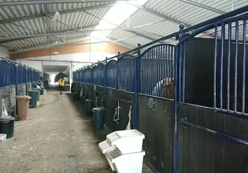 Koń przewrócił się na nastolatkę. Na miejsce wezwano śmigłowiec LPR